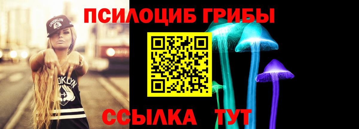 Галлюциногенные грибы GOLDEN TEACHER Пушкино