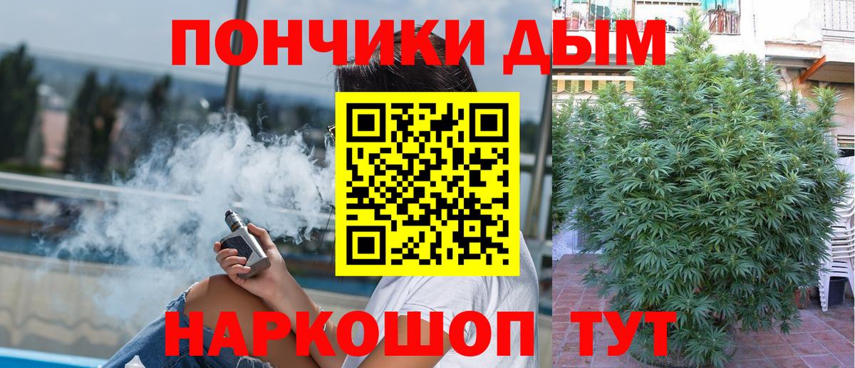 Канабис план  Бошки Шишки MAZAR  Пушкино  Бошки Шишки ГИДРОПОН  Канабис AK-47  Вход с VPN 